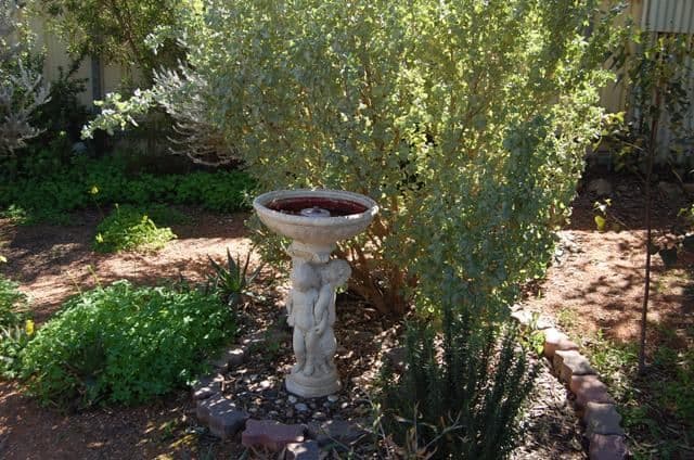23 Dartmouth Street, PORT AUGUSTA SA 5700, Port Augusta - Thumbnail 2