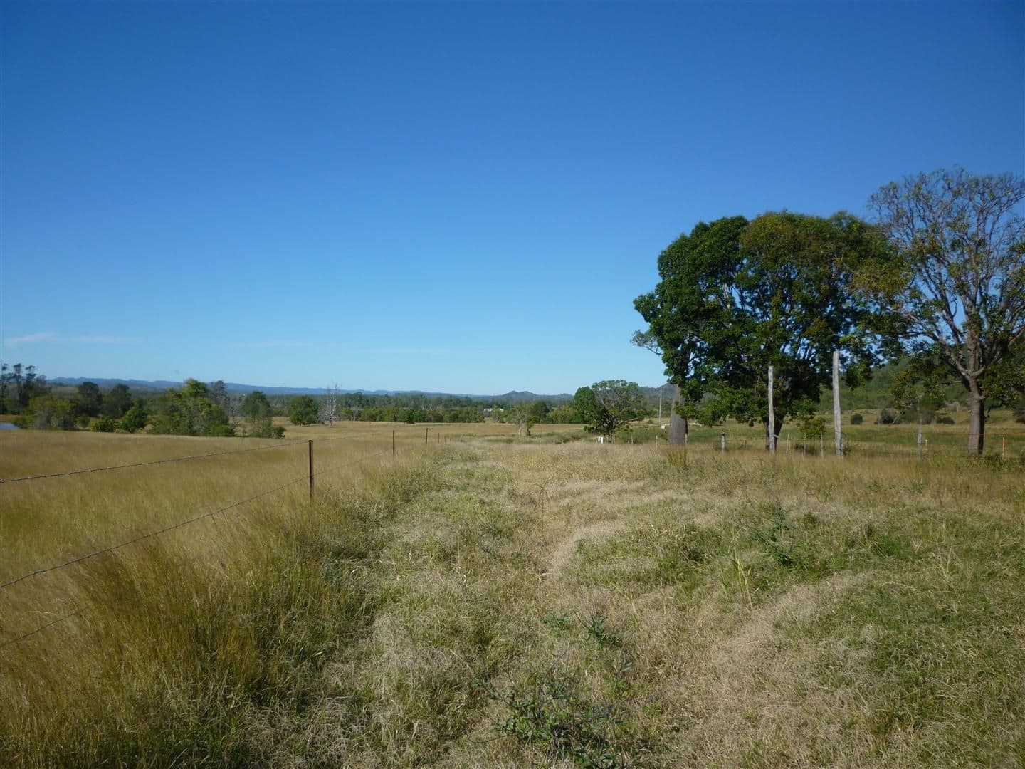 113 Broughton Road, DALMA QLD 4702, Dalma - Image 1