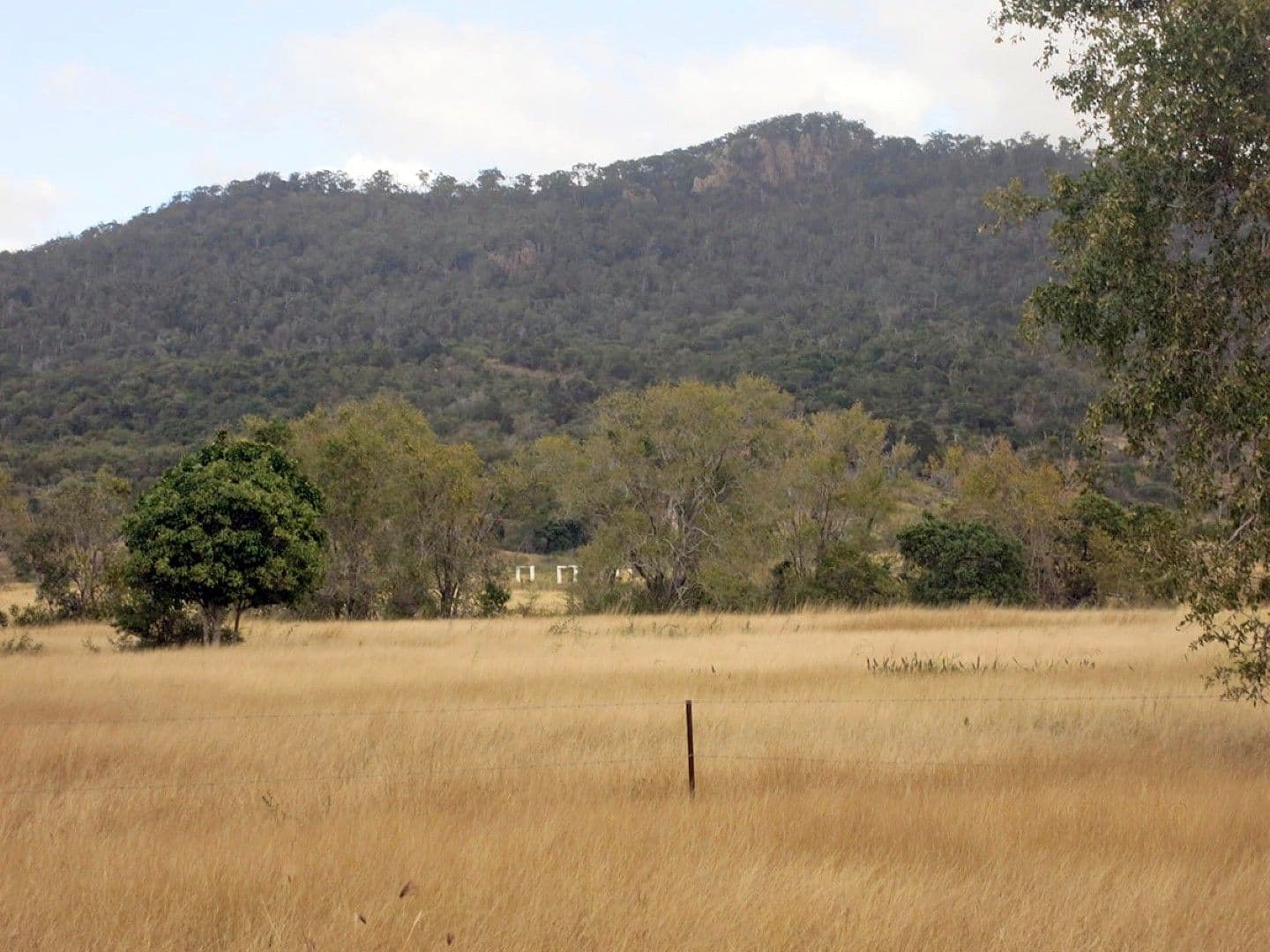 113 Broughton Road, DALMA QLD 4702, Dalma - Thumbnail 6