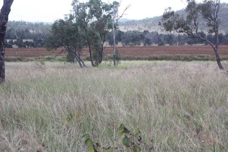 DYSART QLD 4745, Dysart - Thumbnail 7