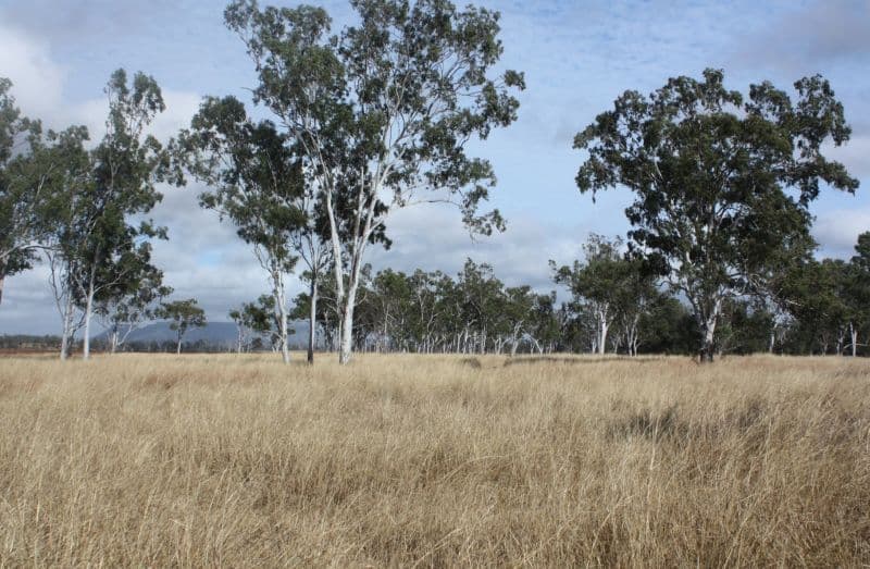 DYSART QLD 4745, Dysart - Thumbnail 2