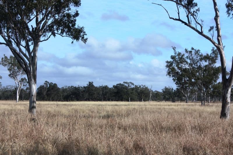 DYSART QLD 4745, Dysart - Thumbnail 8