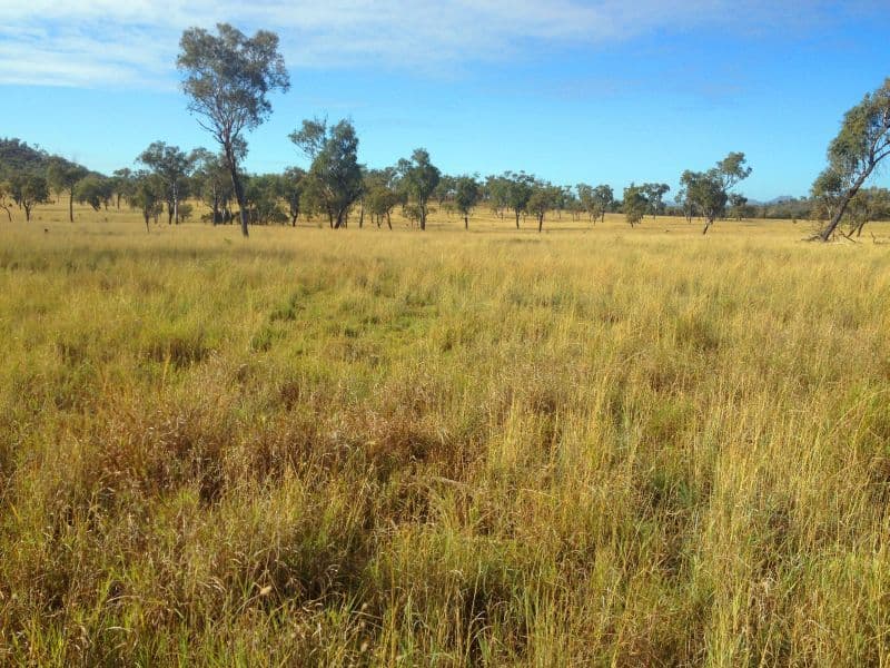 DYSART QLD 4745, Dysart - Image 1