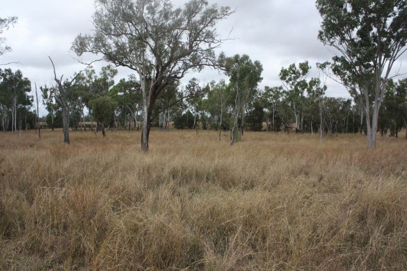 DYSART QLD 4745, Dysart - Thumbnail 5
