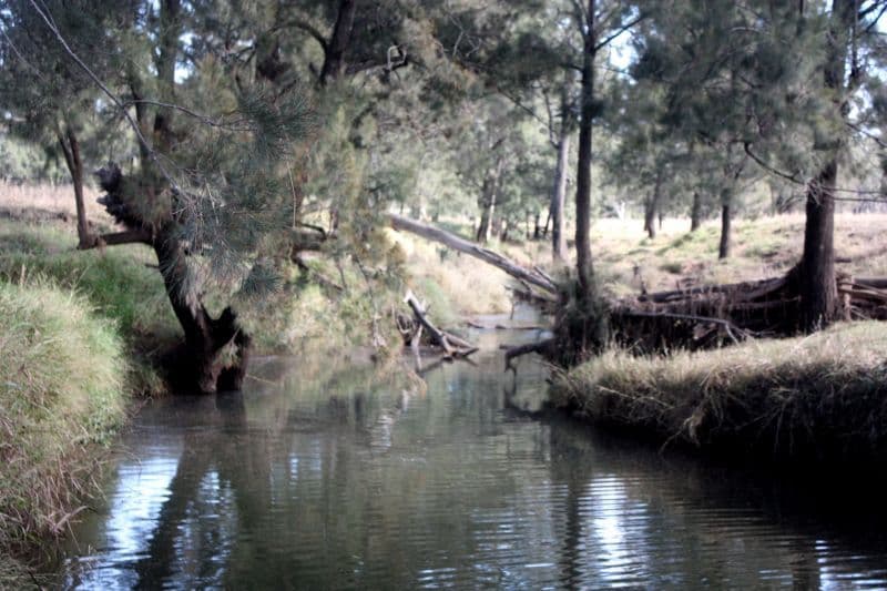 DYSART QLD 4745, Dysart - Thumbnail 6