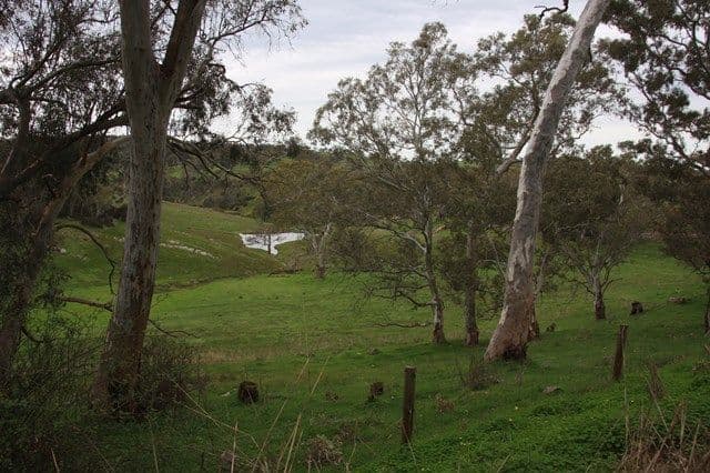Lot 2 Nyoka Road, MACCLESFIELD SA 5153, Macclesfield - Thumbnail 2