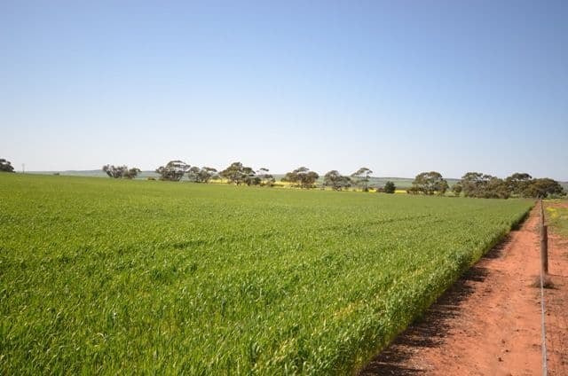 Lot 2 Stock Route Road, POINT PASS SA 5374, Point Pass - Thumbnail 2
