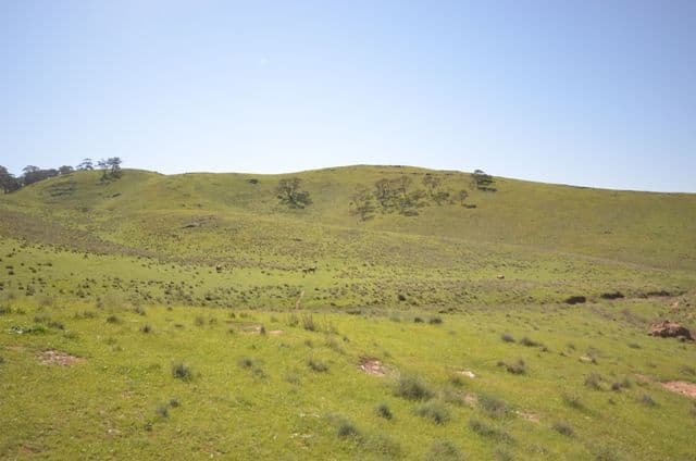 Kaiser Stuhl Scenic Road, POINT PASS SA 5374, Point Pass - Thumbnail 7