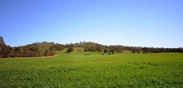 Lot 2 Stock Route Road, POINT PASS SA 5374, Point Pass - Image 1