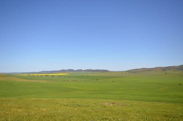 2 Lots "Orams" and "HV's, EMU DOWNS SA 5381, Emu Downs - Thumbnail 6