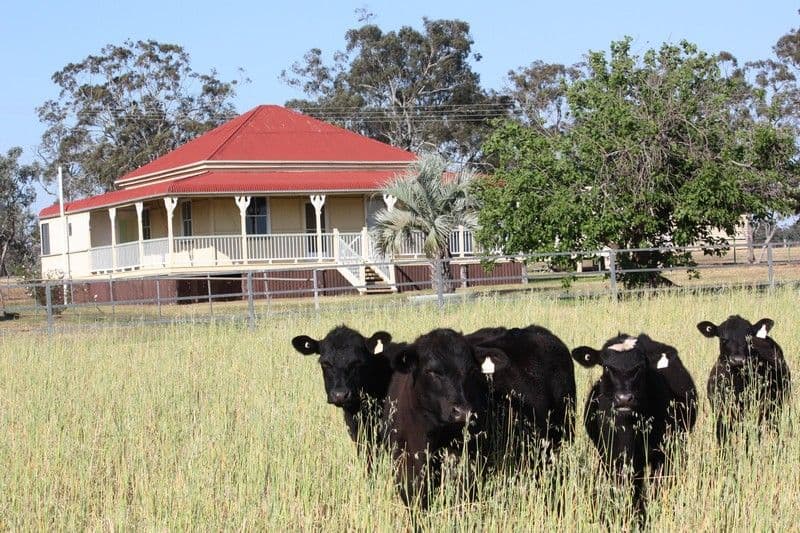 985 Biddeston Southbrook Road, SOUTHBROOK QLD 4363, Southbrook - Image 1