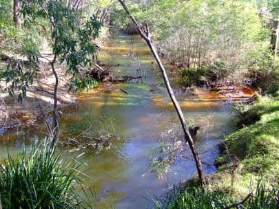 Lot 3 and 8 Box Gap Road, PUTTY NSW 2330, Putty - Thumbnail 3
