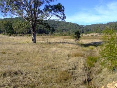 Lot 3 and 8 Box Gap Road, PUTTY NSW 2330, Putty - Thumbnail 5