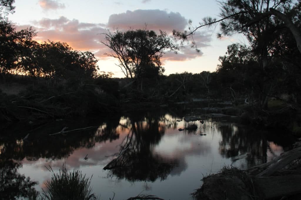 "Rockdale" Back Creek Road, TENTERFIELD NSW 2372, Tenterfield - Thumbnail 6