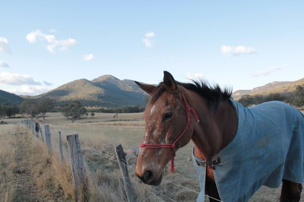 "Rockdale" Back Creek Road, TENTERFIELD NSW 2372, Tenterfield - Thumbnail 2