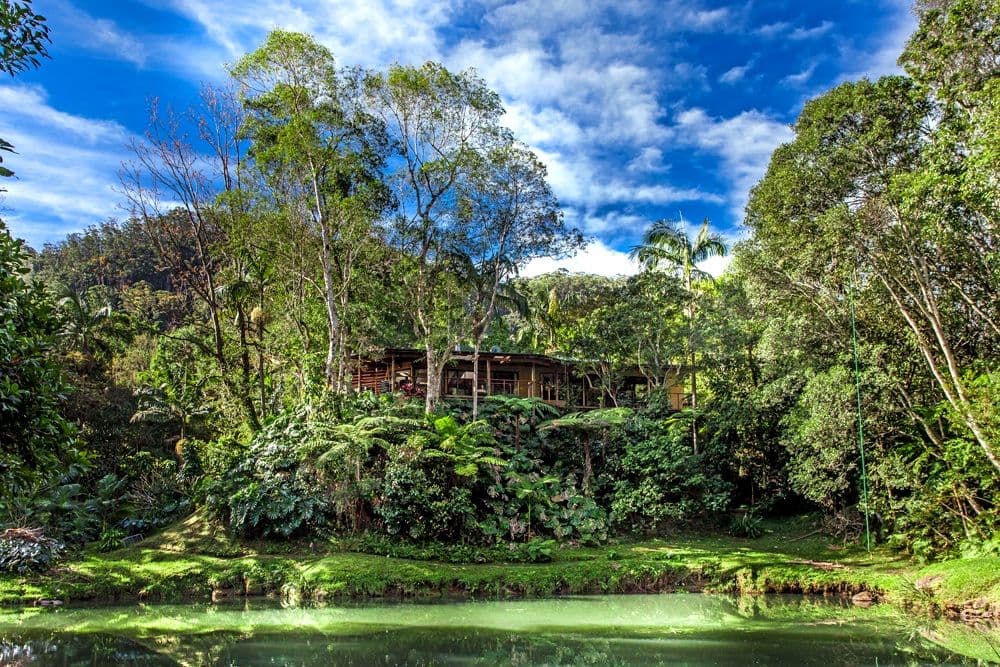 859 Wilsons Creek Road, WILSONS CREEK NSW 2482, Wilsons Creek - Image 1