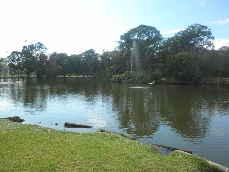 170 Bardon Avenue, MIAMI QLD 4220, Miami - Image 1