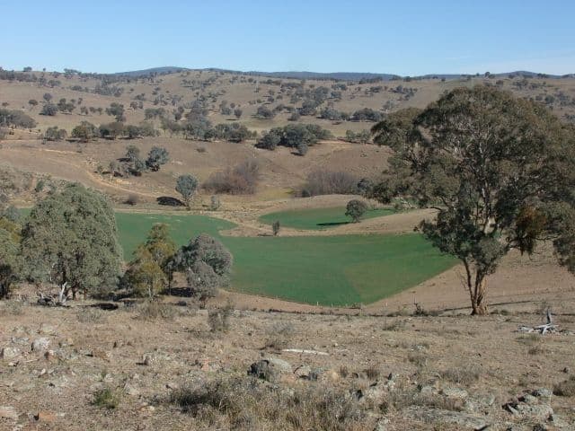 1562 Lower Lewis Ponds Road, ORANGE NSW 2800, Orange - Image 1