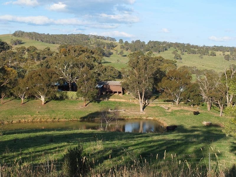 335 Curly Dick Road, MEADOW FLAT NSW 2795, Meadow Flat - Thumbnail 4