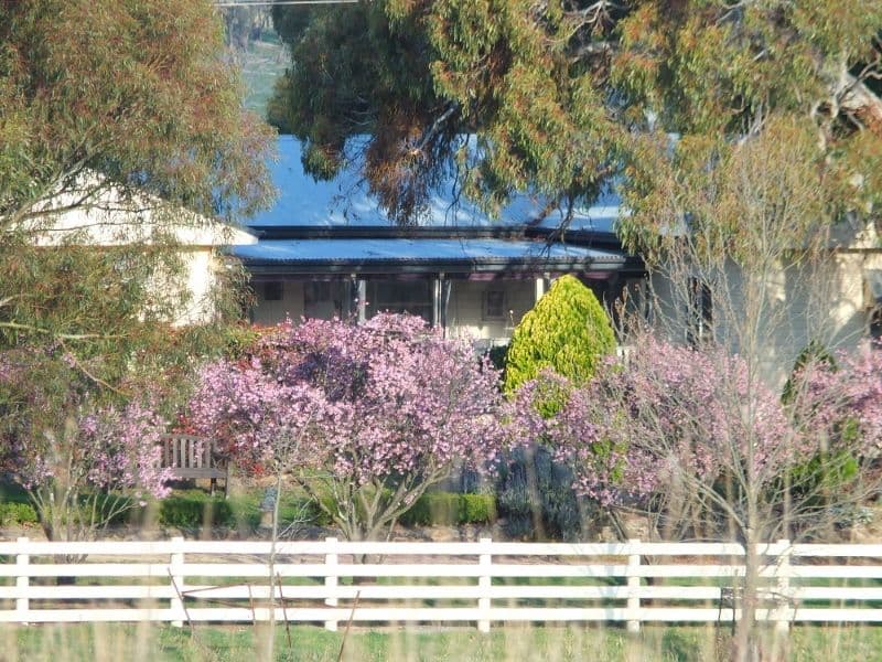 335 Curly Dick Road, MEADOW FLAT NSW 2795, Meadow Flat - Thumbnail 6