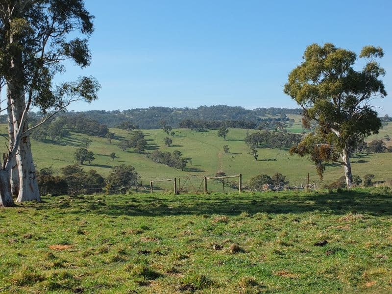 335 Curly Dick Road, MEADOW FLAT NSW 2795, Meadow Flat - Thumbnail 3