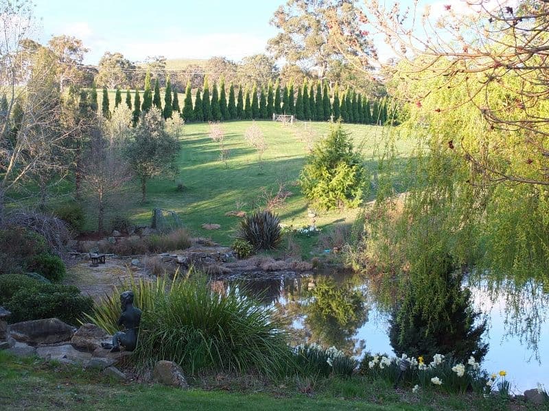 335 Curly Dick Road, MEADOW FLAT NSW 2795, Meadow Flat - Thumbnail 8