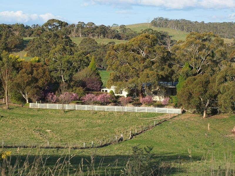 335 Curly Dick Road, MEADOW FLAT NSW 2795, Meadow Flat - Image 1