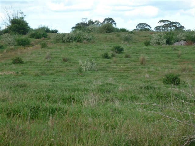 1453 Pheiffer Road, MANYPEAKS WA 6328, Manypeaks - Thumbnail 5