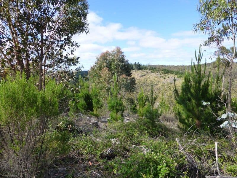BATHURST NSW 2795, Bathurst - Thumbnail 2