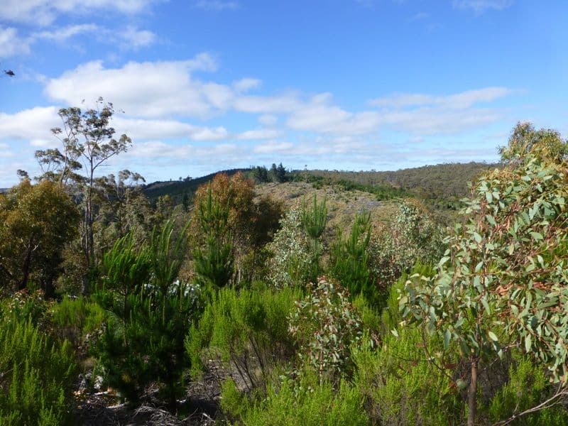 BATHURST NSW 2795, Bathurst - Thumbnail 3