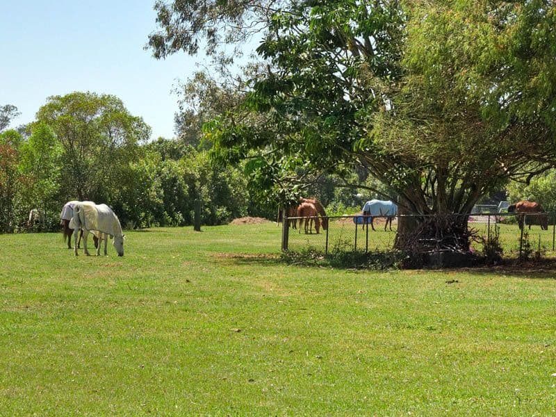 96 Beelarong Street, MORNINGSIDE QLD 4170, Morningside - Thumbnail 8