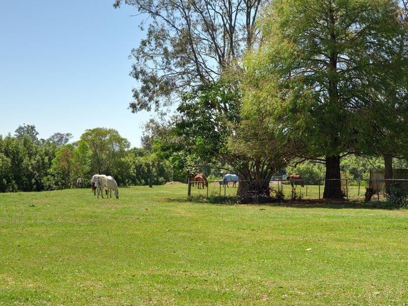 96 Beelarong Street, MORNINGSIDE QLD 4170, Morningside - Thumbnail 7