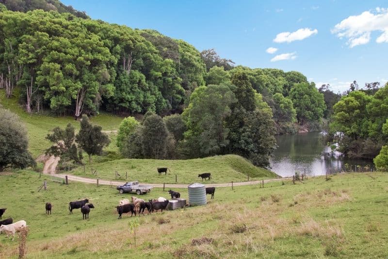 MURWILLUMBAH NSW 2484, Murwillumbah - Thumbnail 2