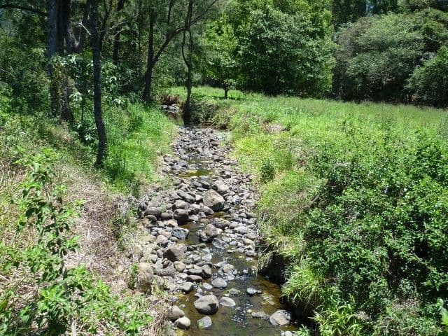 98 Starlight Way, TYALGUM NSW 2484, Tyalgum - Thumbnail 3