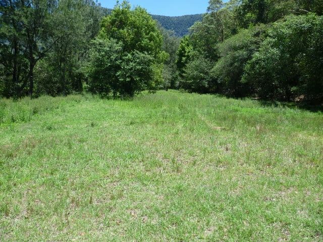 98 Starlight Way, TYALGUM NSW 2484, Tyalgum - Thumbnail 5