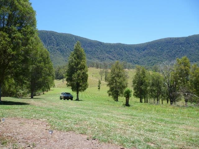 98 Starlight Way, TYALGUM NSW 2484, Tyalgum - Thumbnail 8