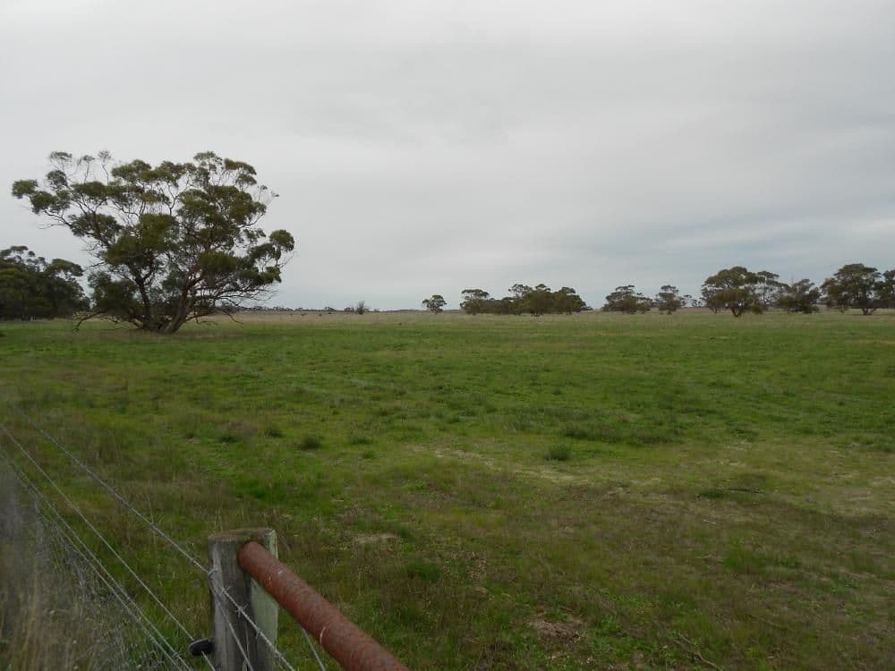 Glenrowan Dukes Highway, KEITH SA 5267, Keith - Thumbnail 3