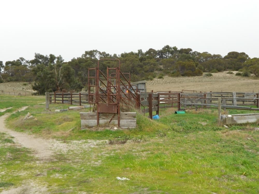 Glenrowan Dukes Highway, KEITH SA 5267, Keith - Thumbnail 4