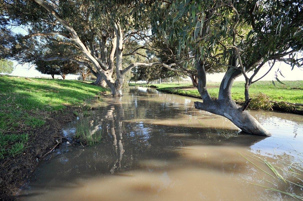 106 Dalys Road, ROKEWOOD VIC 3330, Rokewood - Thumbnail 2