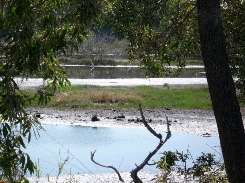 10 Paperbark Court, WOODGATE QLD 4660, Woodgate - Thumbnail 3