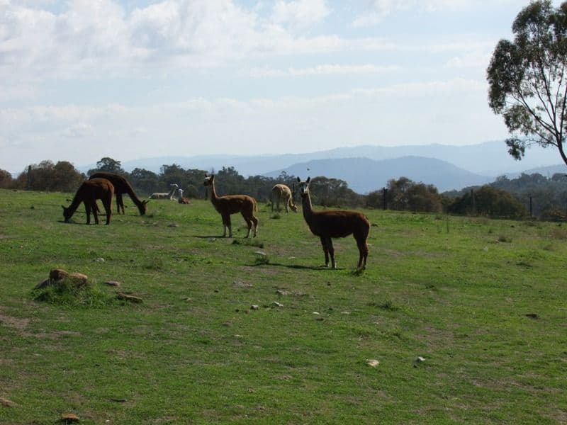 BATHURST NSW 2795, Bathurst - Thumbnail 6