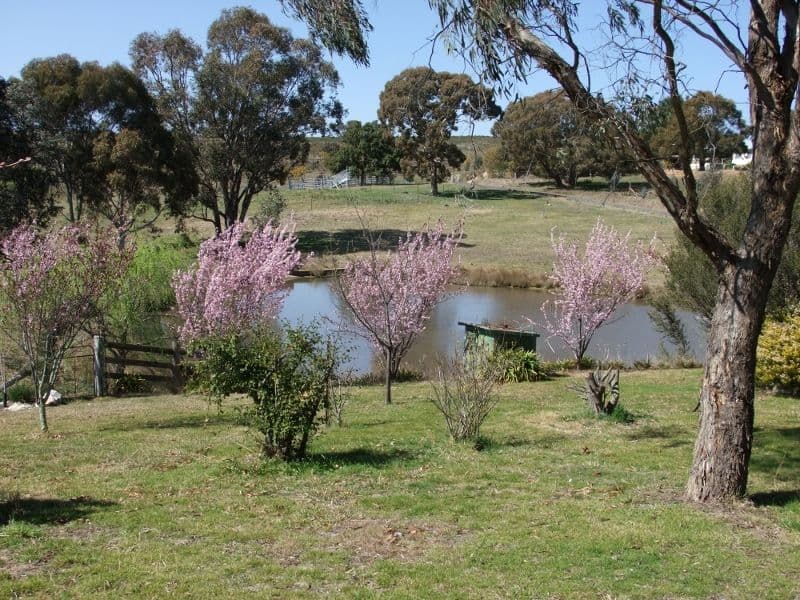 BATHURST NSW 2795, Bathurst - Thumbnail 5