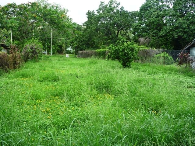 24 Duffy Street, FRESHWATER QLD 4870, Freshwater - Thumbnail 5