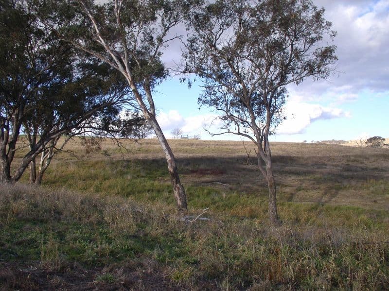1485 Mid Western Highway, BATHURST NSW 2795, Bathurst - Thumbnail 6