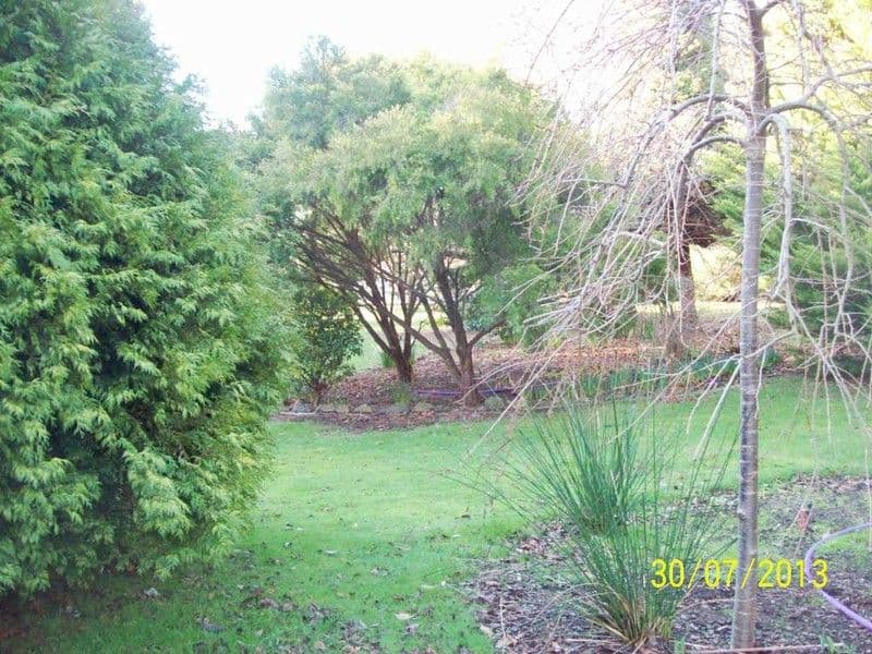 710 Deviot Road, DEVIOT TAS 7275, Deviot - Thumbnail 2