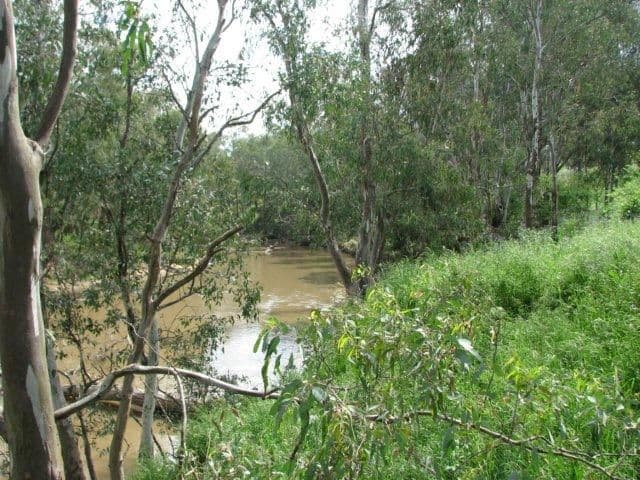 171B Cultowa Lane, CANOWINDRA NSW 2804, Canowindra - Thumbnail 3