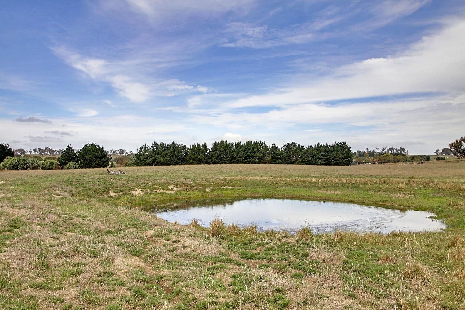 1620 Taralga Road, CROOKWELL NSW 2583, Crookwell - Image 1