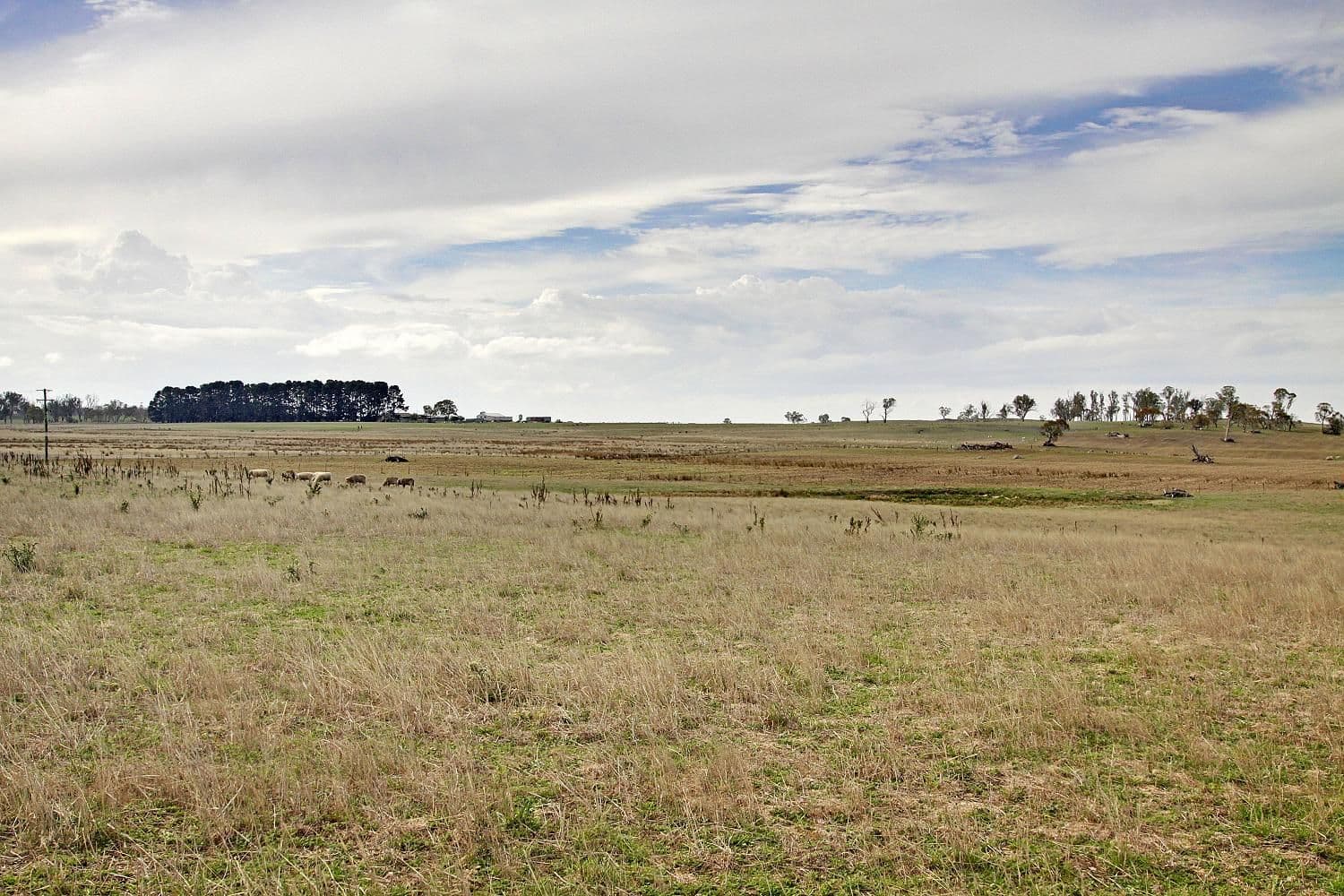 1620 Taralga Road, CROOKWELL NSW 2583, Crookwell - Thumbnail 8