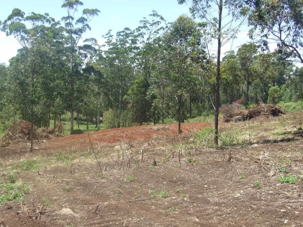 L207 Anduramba Road, CROWS NEST QLD 4355, Crows Nest - Thumbnail 6