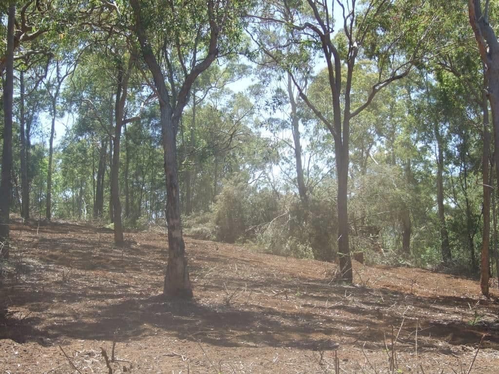 L207 Anduramba Road, CROWS NEST QLD 4355, Crows Nest - Thumbnail 7